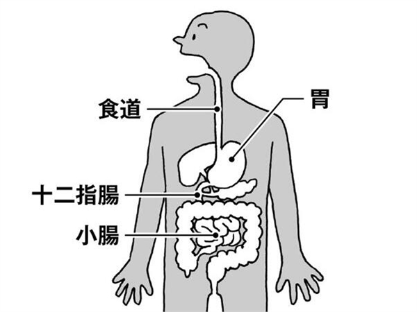 赴日医疗中介揭秘：消化道疾病的治疗和住院的全部过程