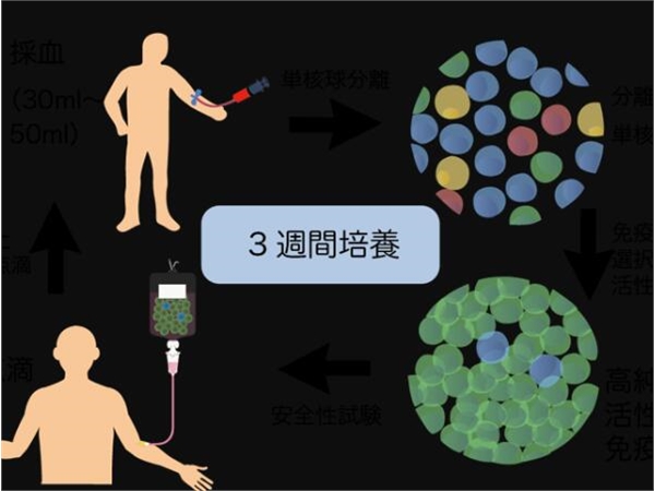 去日本看病：细胞疗法真的能预防癌症复发吗？