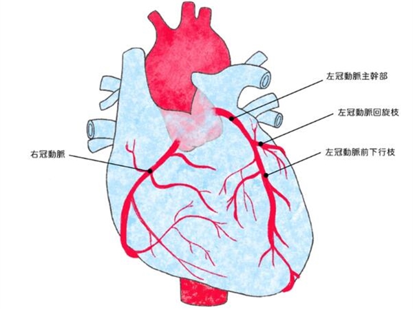 日本医疗研究新发现：缺血性心脏病与吃海藻的关系