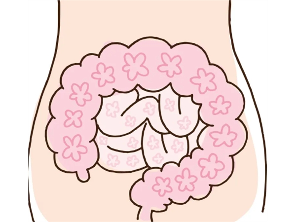 日本先进医疗—FMT粪便微生物移植：拯救重症感染，调节肠道免疫